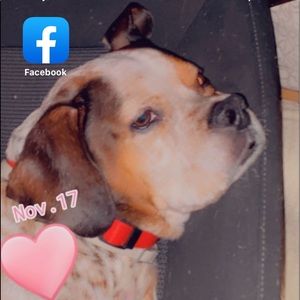 Meet your Posher, Janae